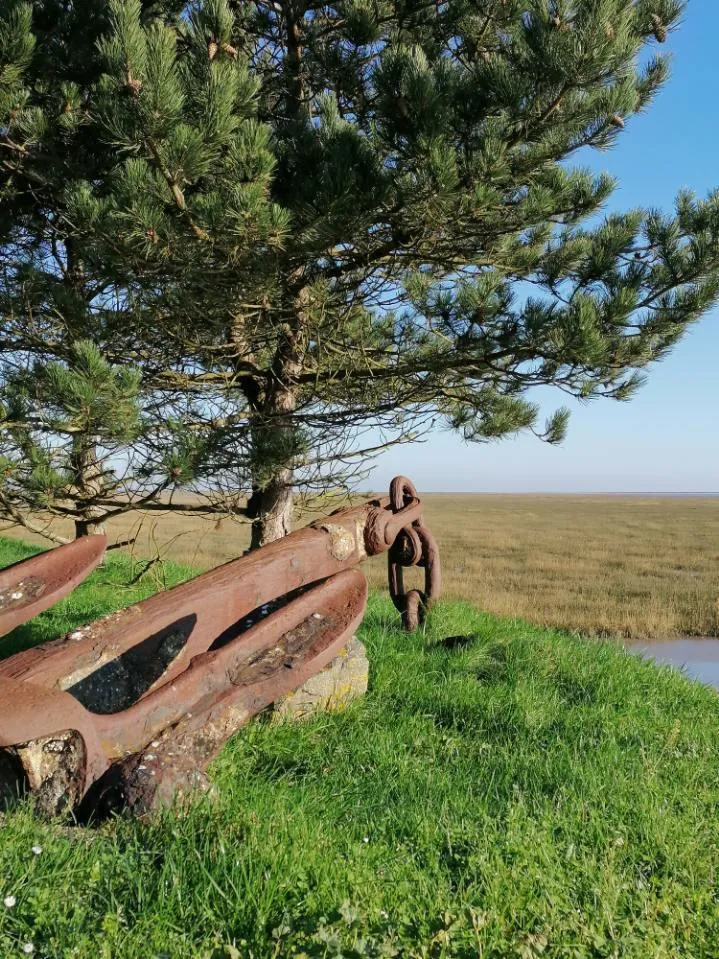 Camping La Baie des Veys - image n°17 - UniversalBooking