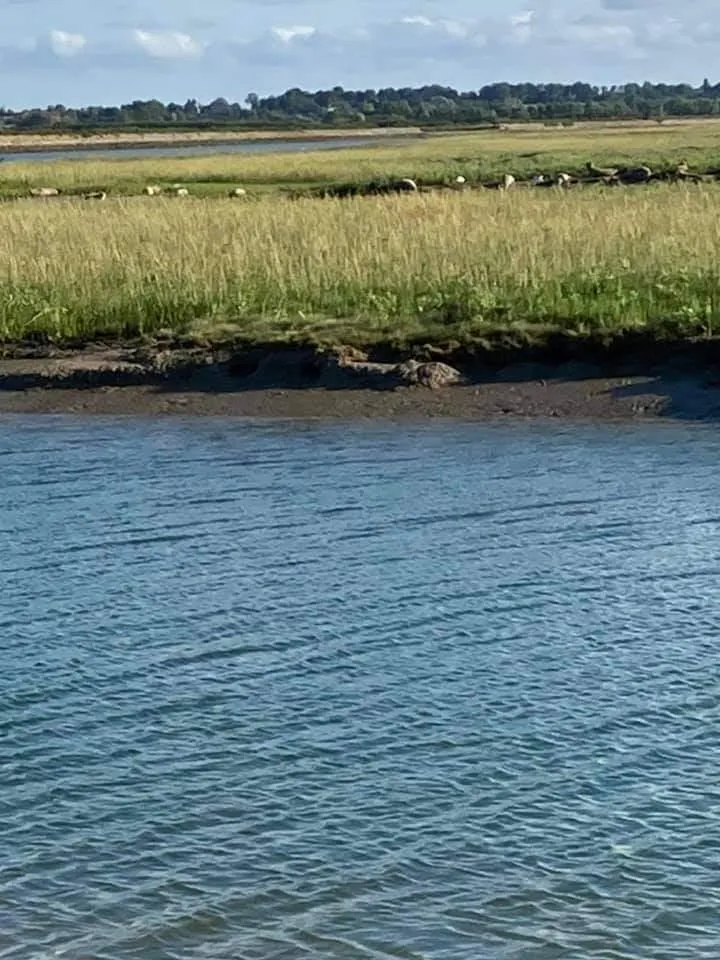 Camping La Baie des Veys - image n°18 - UniversalBooking