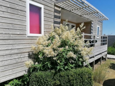Cottage Premium Seaview — 2