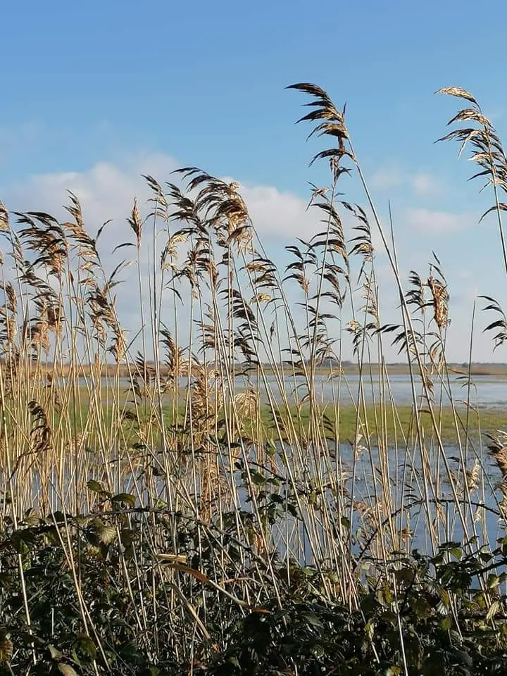 Camping La Baie des Veys - image n°20 - UniversalBooking