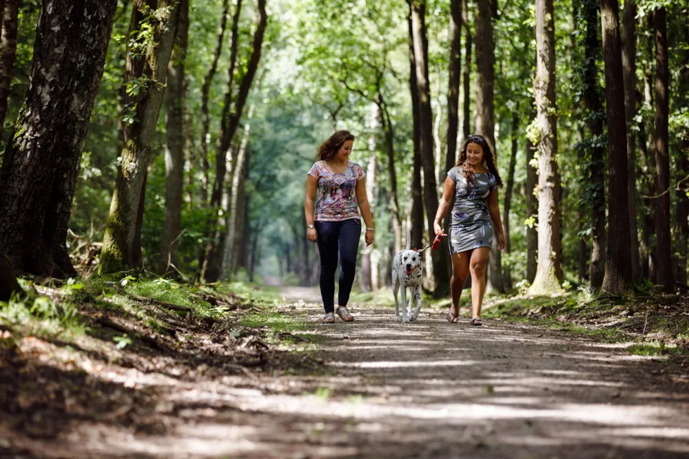 RCN Vakantiepark de Jagerstee