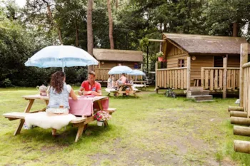 Location - Cabane De Chasseurs - RCN Vakantiepark de Jagerstee