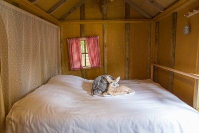 Hunters cabin