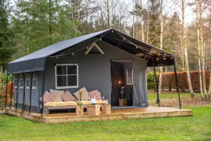 Glamping Tent Veluwse Bos