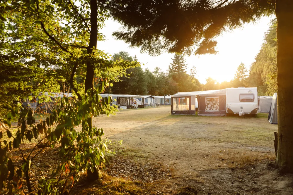 RCN Vakantiepark de Jagerstee - image n°2 - Camping Direct