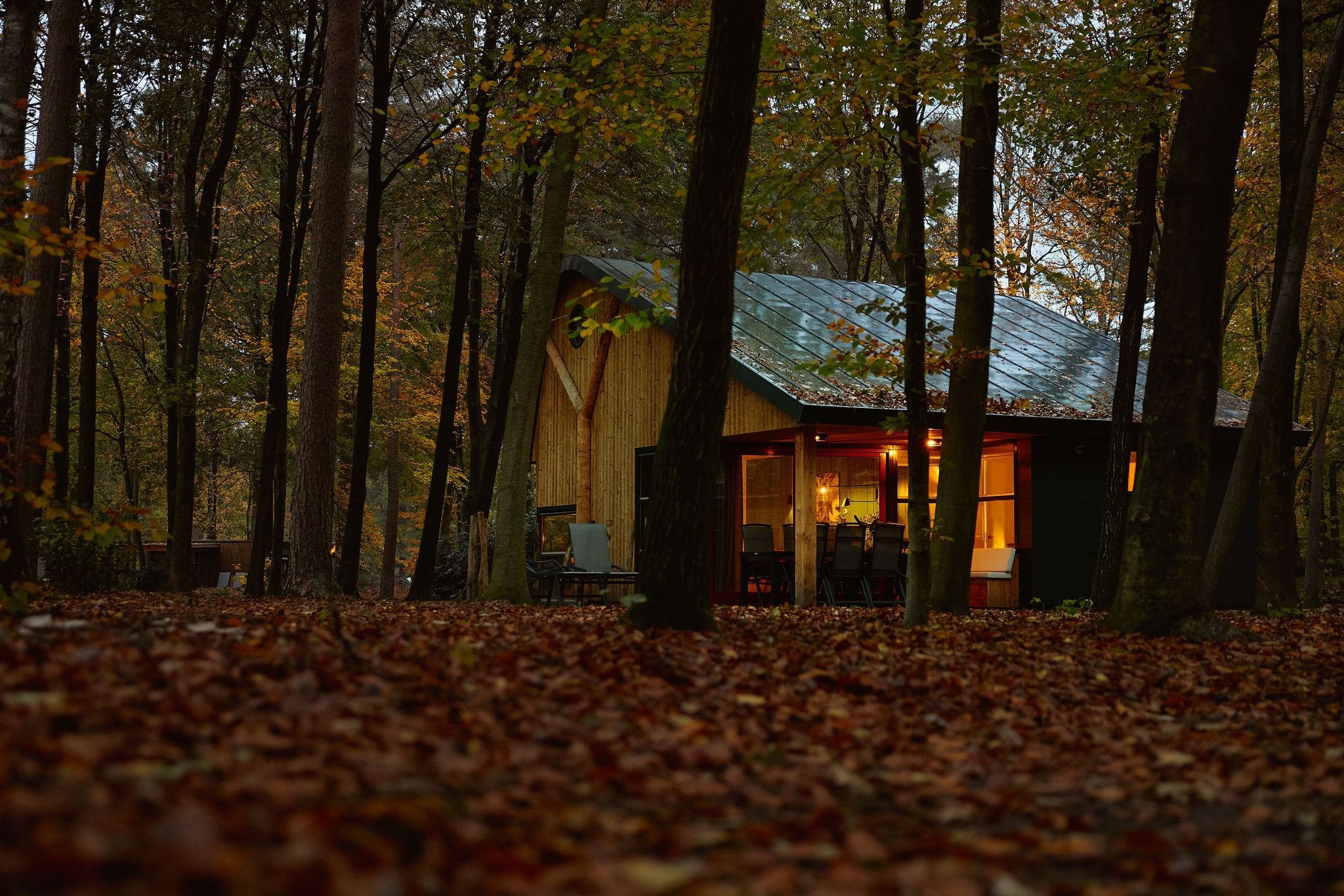 RCN Vakantiepark de Jagerstee — Photo 6