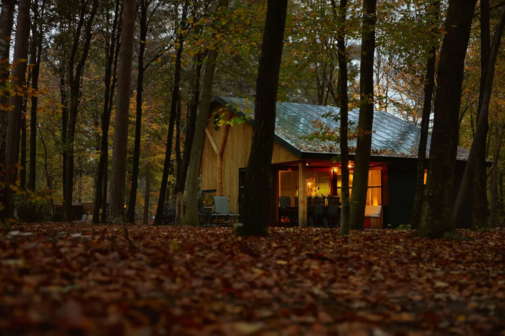 RCN Vakantiepark de Jagerstee - image n°6 - Camping Direct