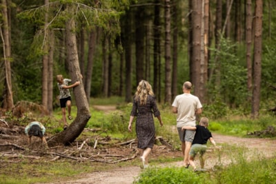 RCN Vakantiepark de Jagerstee