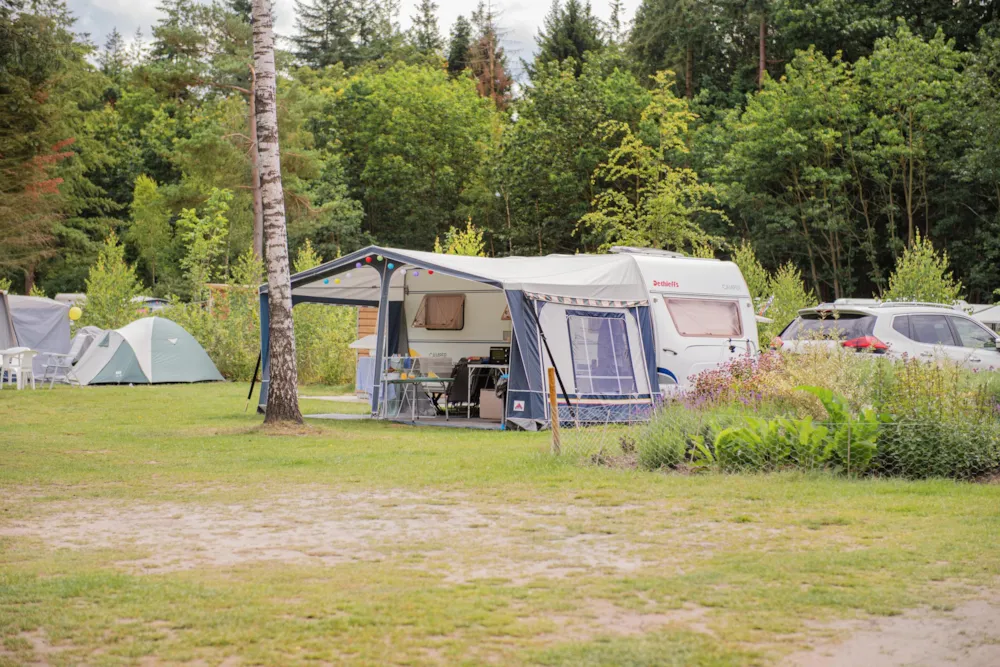 Stellplatz - Stellplatz - RCN Vakantiepark de Jagerstee