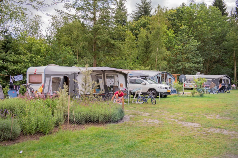 Comfortplaats