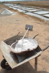 Foto #53 van Camping Eden Villages Le Domaine de Bréhadour