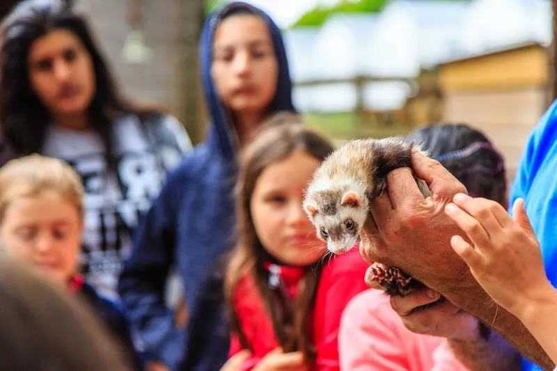Camping Eden Villages Le Domaine de Bréhadour