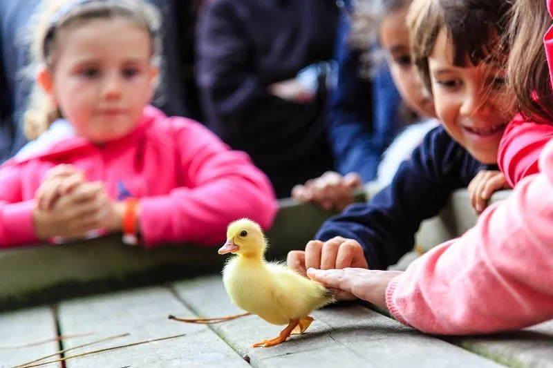 Camping Eden Villages Le Domaine de Bréhadour