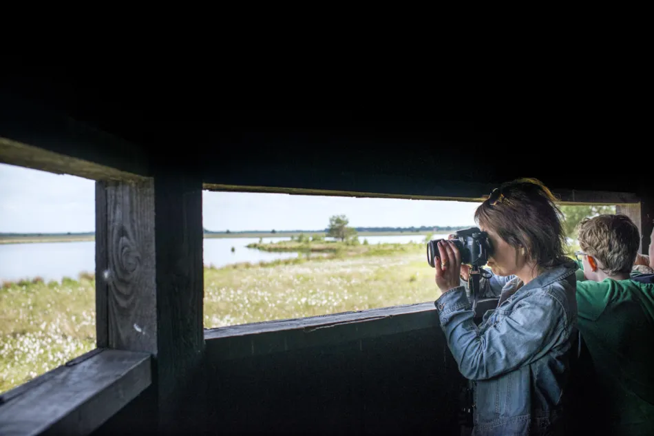 RCN Vakantiepark de Noordster