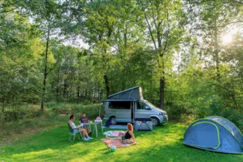 Stellplatz - Stellplatz - RCN Vakantiepark de Noordster