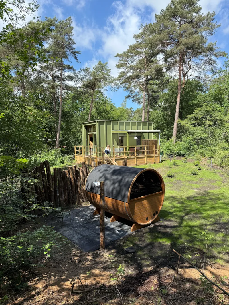 Tiny House Avec Un Sauna