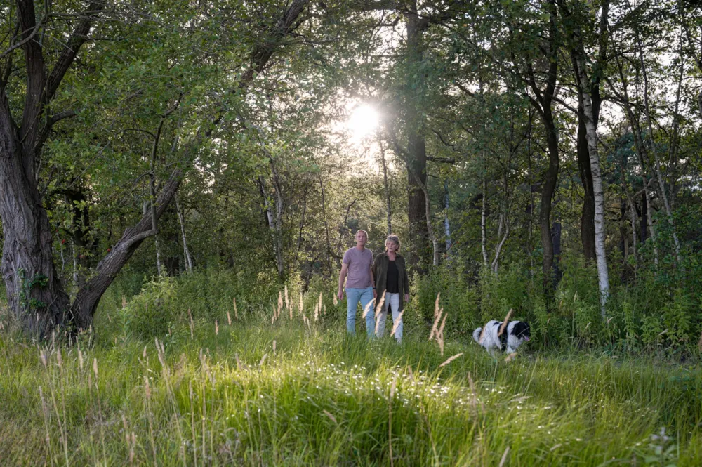 RCN Vakantiepark de Noordster