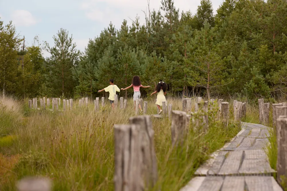 RCN Vakantiepark de Noordster