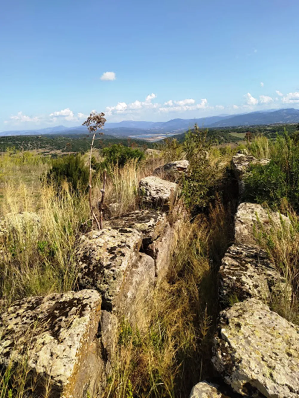 Nuraghe Ruiu Camping Village