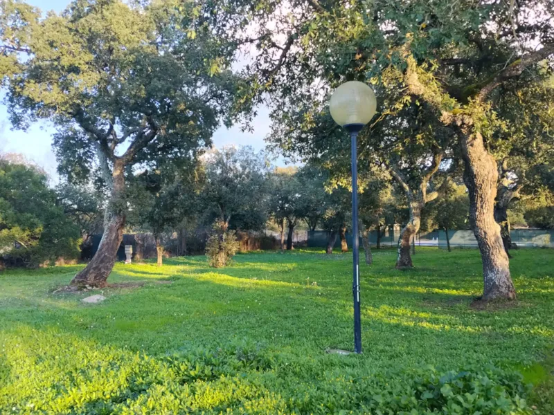 Emplacement Petite Tente