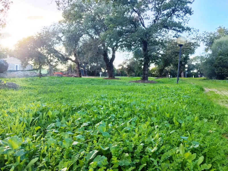 Emplacement Petite Tente