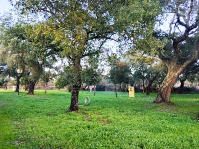 Pitch small tent — 4