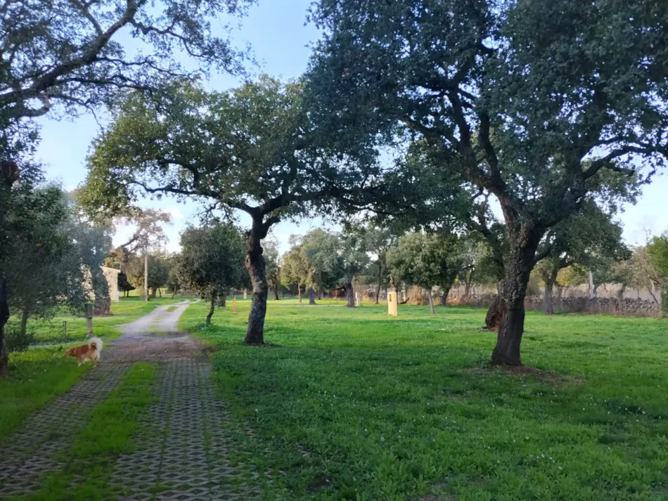 Nuraghe Ruiu Camping Village