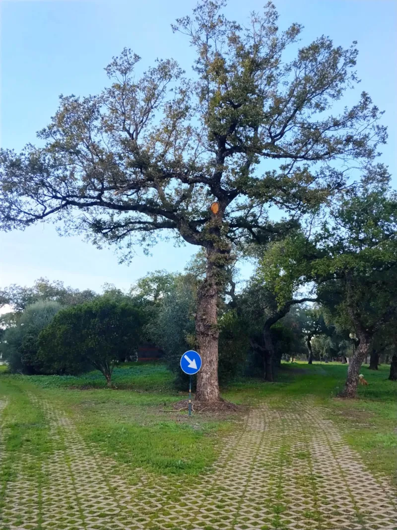 Emplacement Grande Tente, Caravane Ou Camping-Car