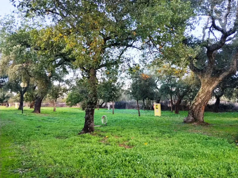 Emplacement Grande Tente, Caravane Ou Camping-Car