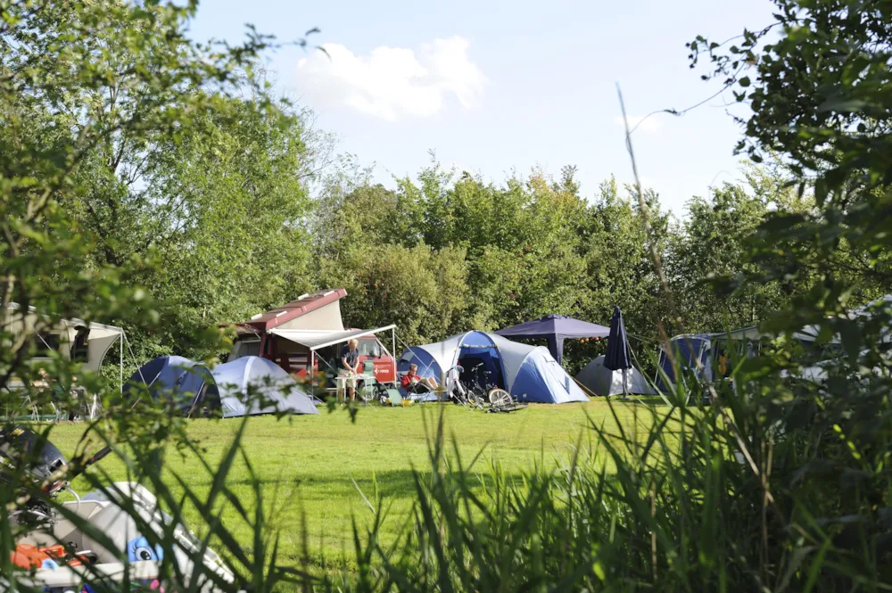 RCN Vakantiepark de Potten - image n°10 - Camping Direct