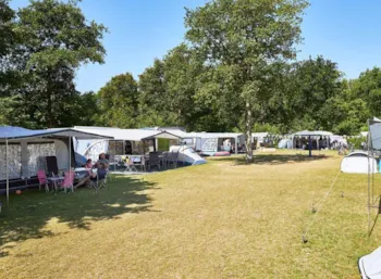 Stellplatz - Stellplatz - RCN Vakantiepark de Schotsman