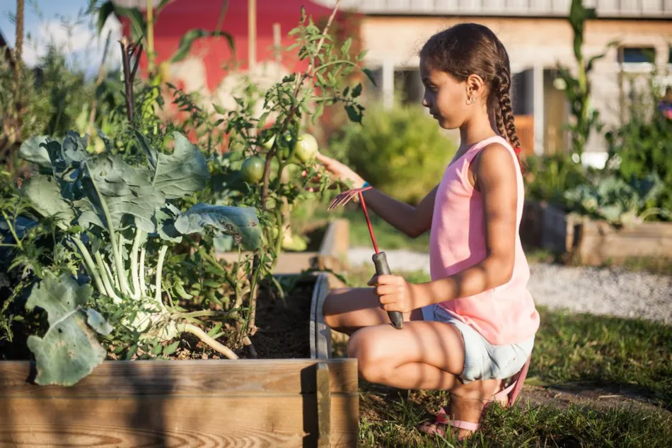 Domaine La Roche D'Ully ****