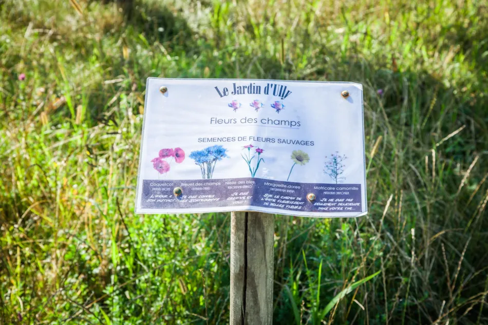 Domaine La Roche D'Ully ****