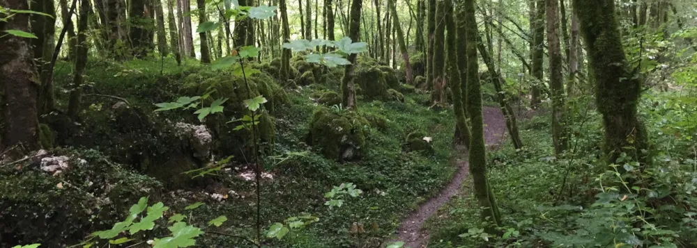 Camping Ecologique LA ROCHE D'ULLY