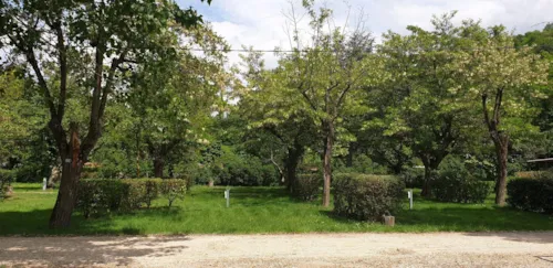 Stellplatz - Stellplatz (1 Zelt, Wohnwagen Oder Wohnmobil / 1 Auto / Stromanschluss 10 A) - image n°7 - CAMPING LES FOULONS
