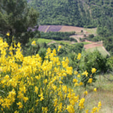 Foto #25 van Camping les Castors