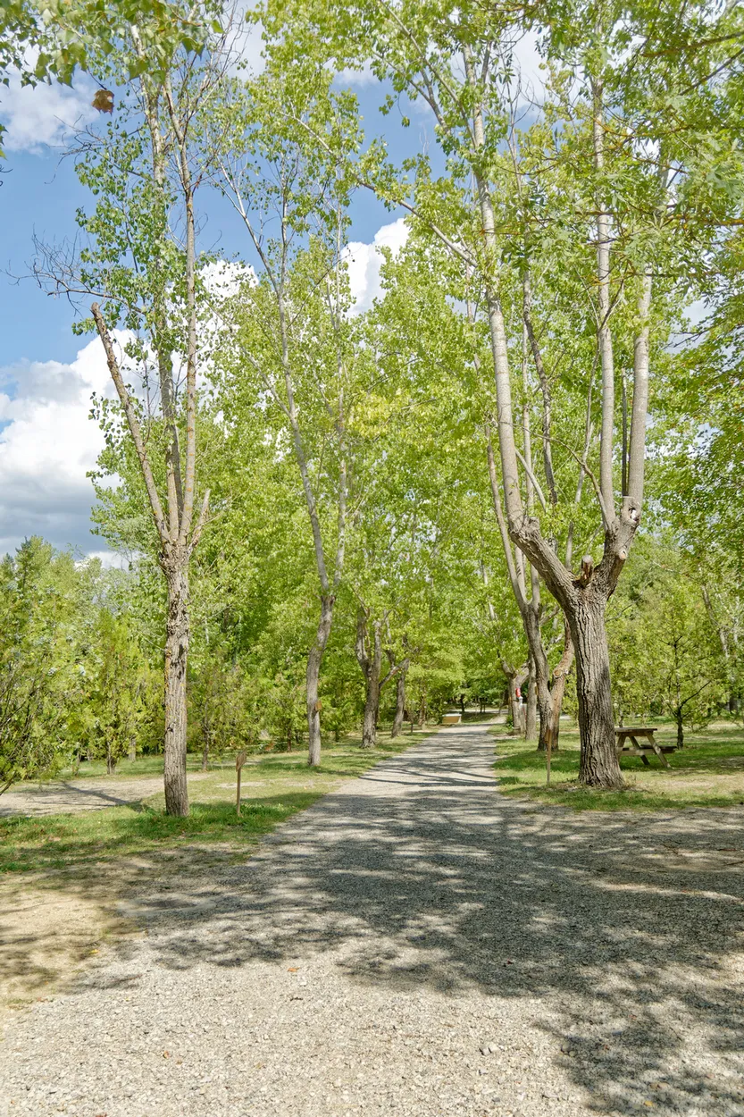 Camping les Castors ***