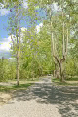 Foto #2 van Camping les Castors