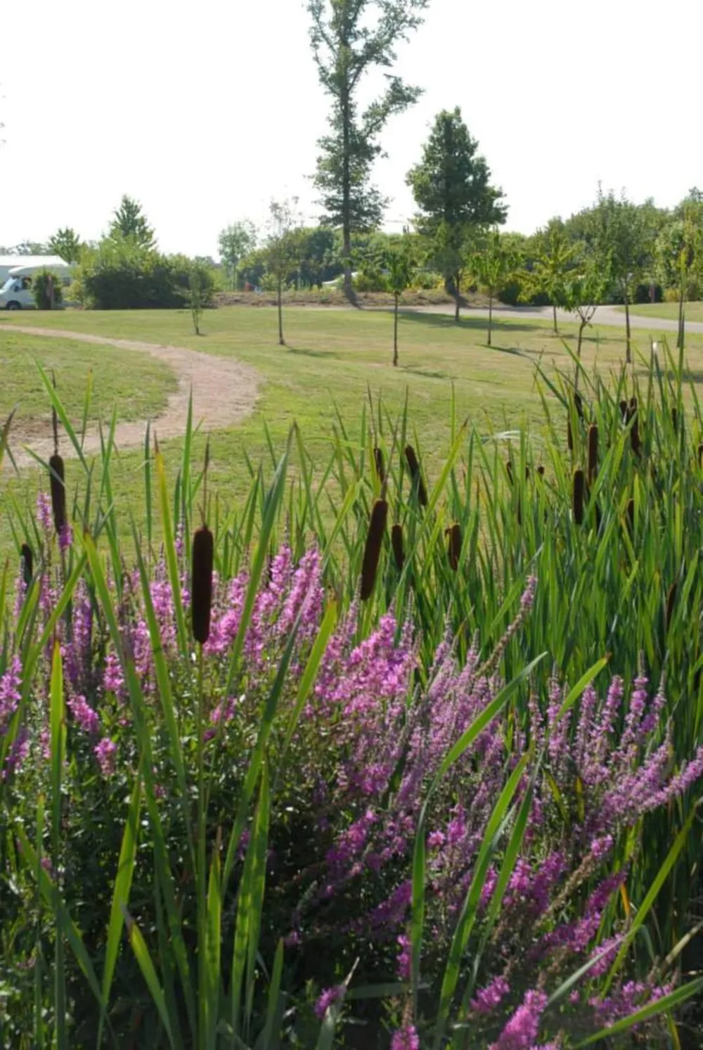 Emplacement - Forfait Rando-Vélo (Emplacement + Tente ) - Flower Camping des Lacs