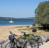 Camping La Presqu'île de Champaubert