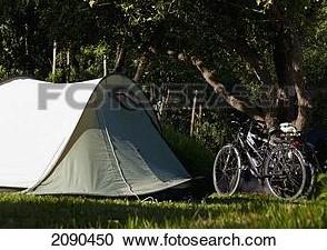 Emplacement - Emplacement Tente + Vélo - Camping Presqu'île de Champaubert