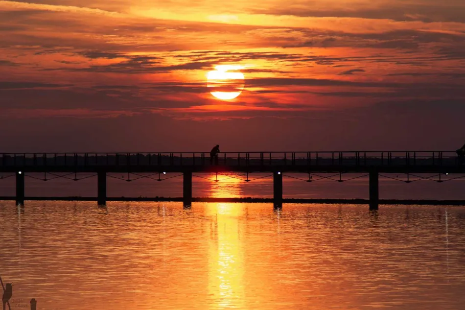 Camping La Presqu'île de Champaubert