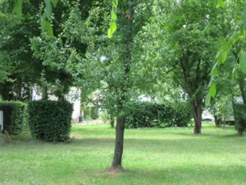 Stellplatz - Stellplatz Confort (6A) - Camping La Presqu'île de Champaubert