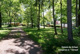 Establishment Camping De Schuur - Noorderwijk - Herentals