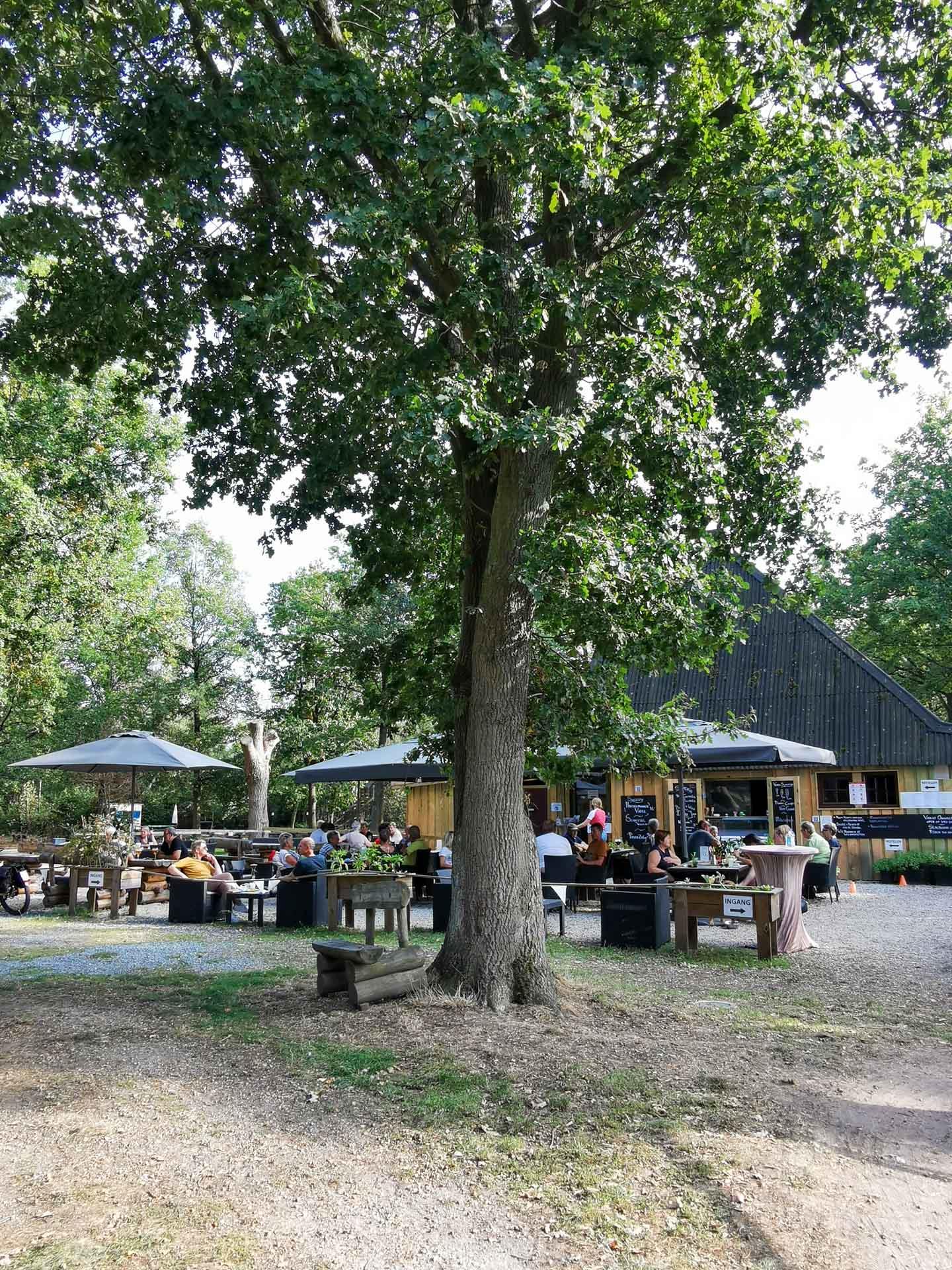 Tjenester og faciliteter Camping De Schuur - Noorderwijk - Herentals