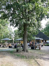 Foto #19 van Camping De Schuur