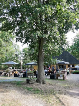 Services Camping De Schuur - Noorderwijk - Herentals