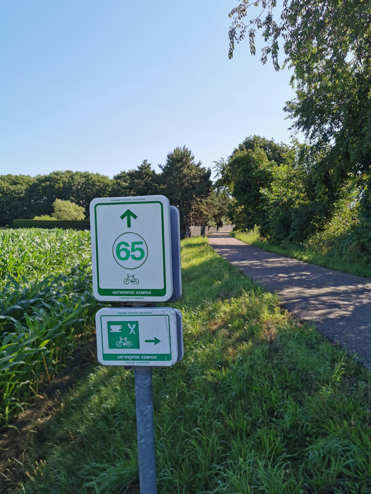 Camping Domein de Schuur