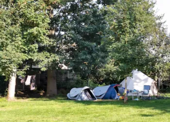 Kampeerplaats(en) - Tentenplaats = 25M² - Camping De Schuur