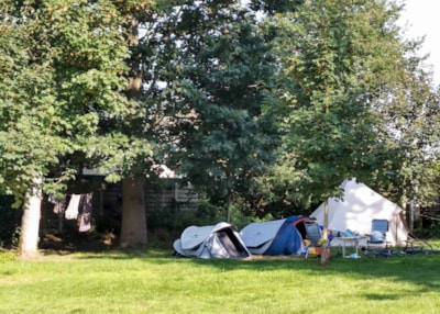 Pitch with tent  = 25m² — 1